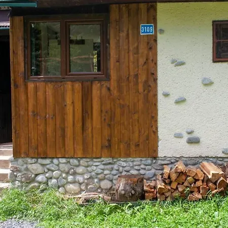 Enchanted Forest Chalet