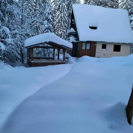 Enchanted Forest Tatranska Strba
