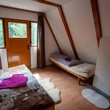 Enchanted Forest * Tatranska Strba