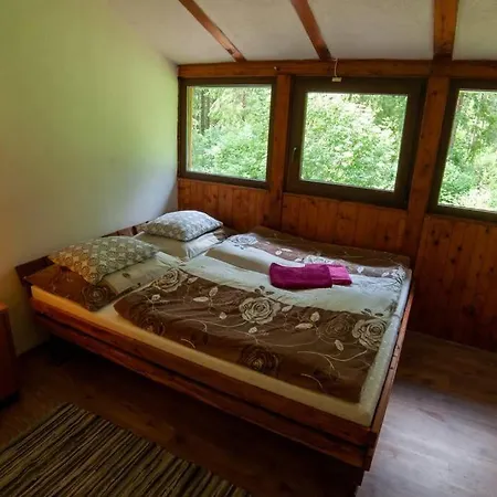 Enchanted Forest Tatranska Strba