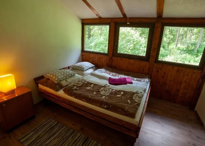 Enchanted Forest Tatranska Strba