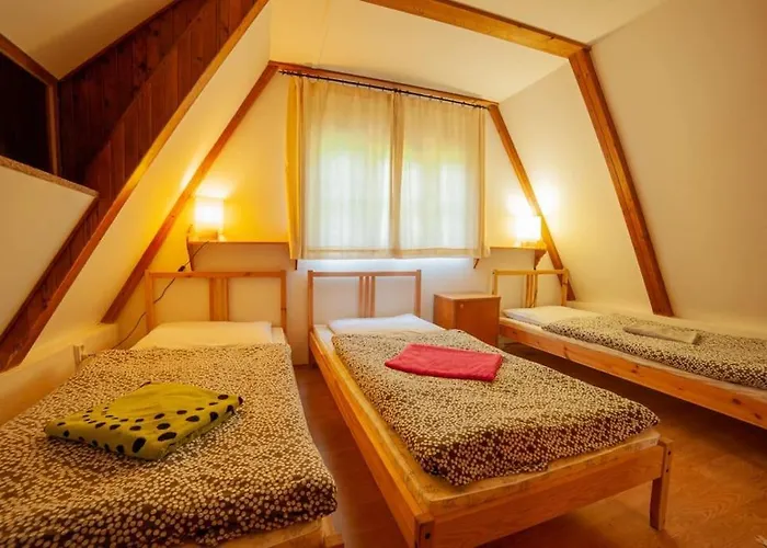 Enchanted Forest * Tatranska Strba